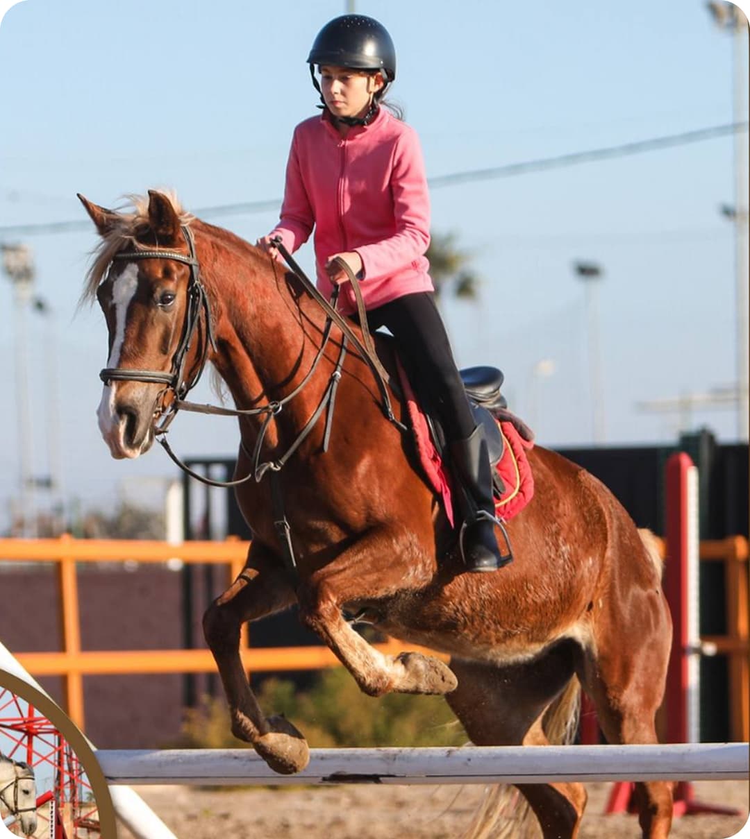 Stages & Perfectionnement