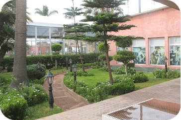 Activité sportive 3